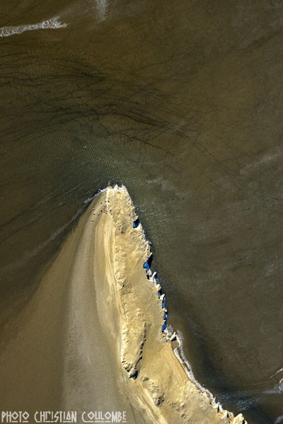photo de camargue