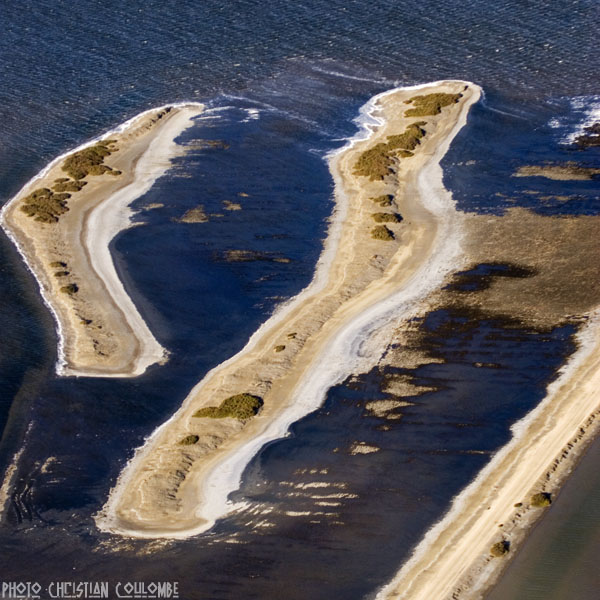 photo de camargue