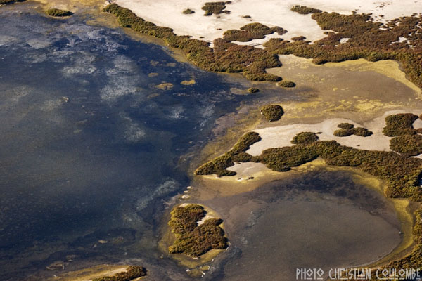 photo de camargue