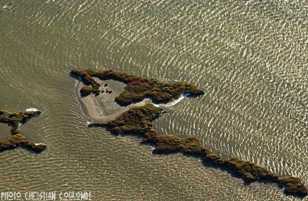 photo de camargue