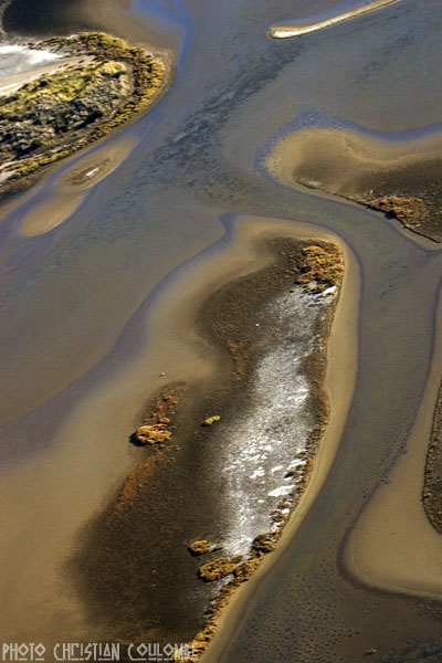 photo de camargue