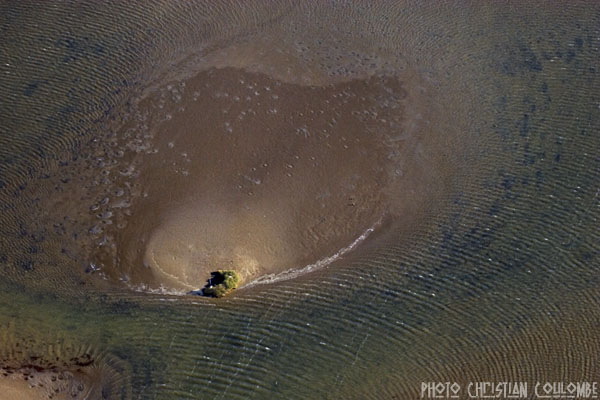 photo de camargue