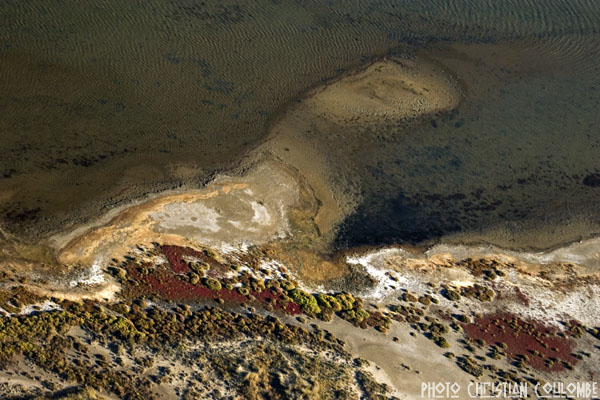 photo de camargue