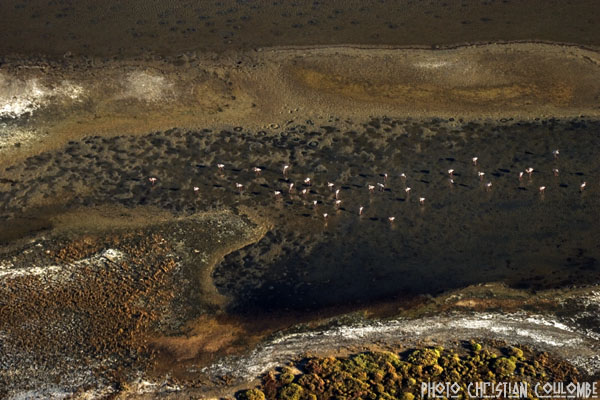 photo de camargue