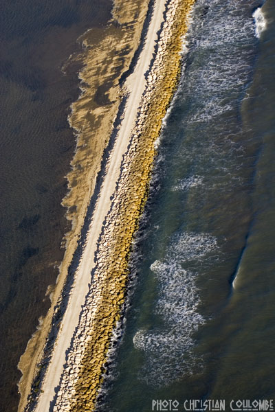 photo de camargue