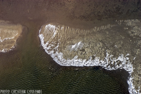 photo de camargue