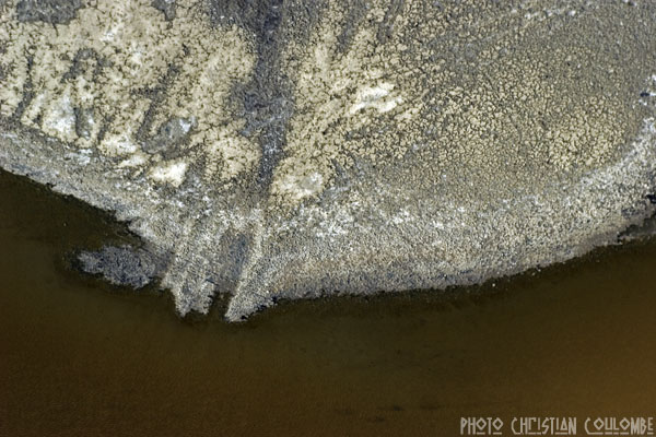 photo de camargue