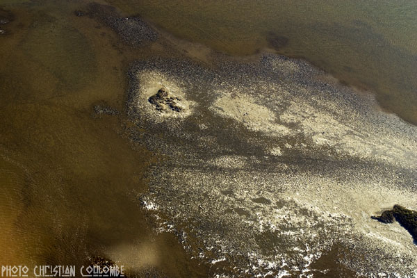 photo de camargue