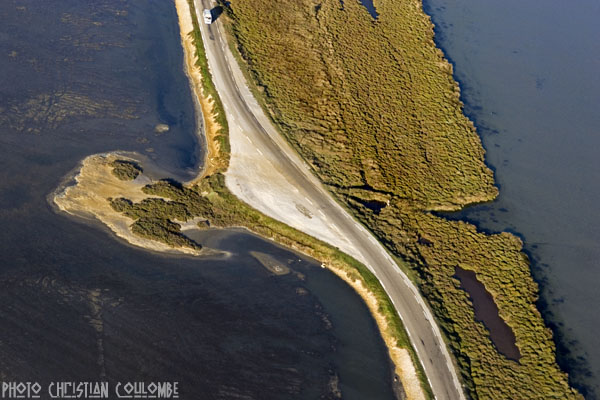 photo de camargue