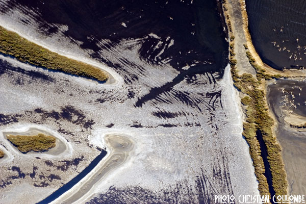 photo de camargue