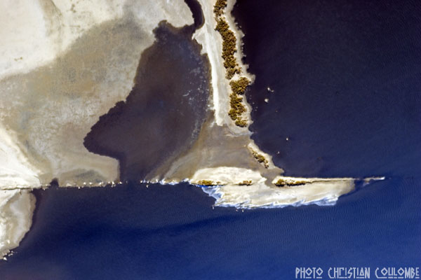 photo de camargue