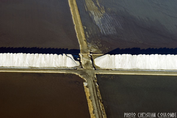 photo de camargue