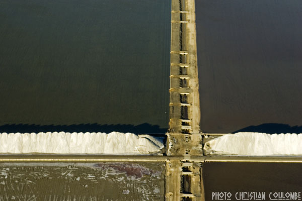 photo de camargue