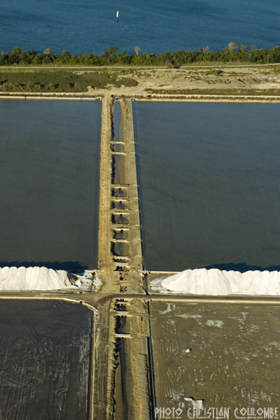 photo de camargue