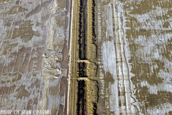 photo de camargue
