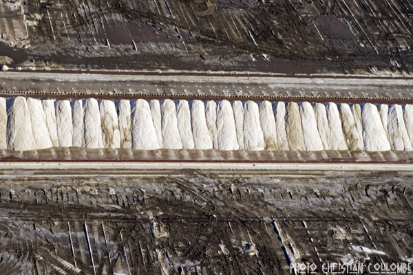 photo de camargue