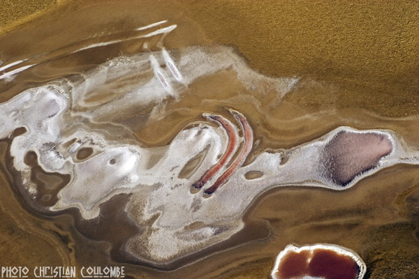 photo de camargue