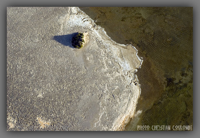 photo de camargue