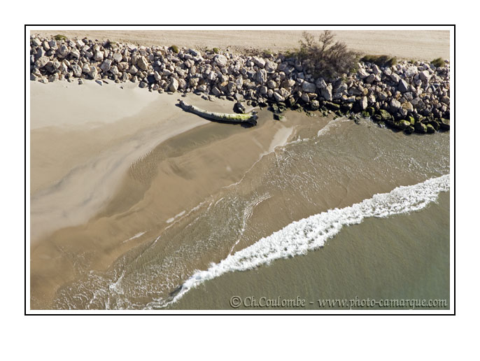 photo de camargue