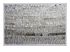 Cliquez ici pour voir l'image (Smartshot_c8_1630.jpg)