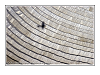 Cliquez ici pour voir l'image (Smartshot_c8_1633.jpg)