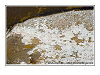 Cliquez ici pour voir l'image (Smartshot_c8_1699.jpg)